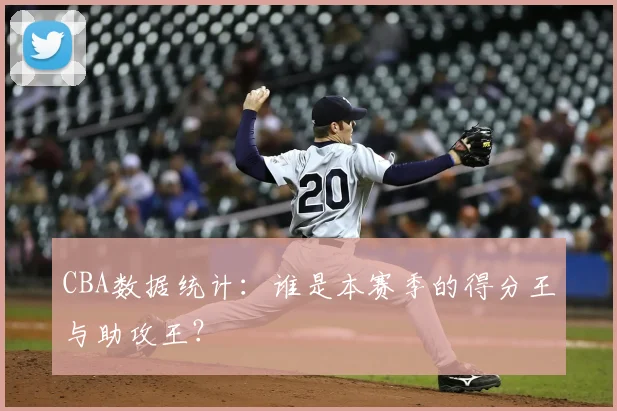 CBA数据统计:谁是本赛季的得分王与助攻王?