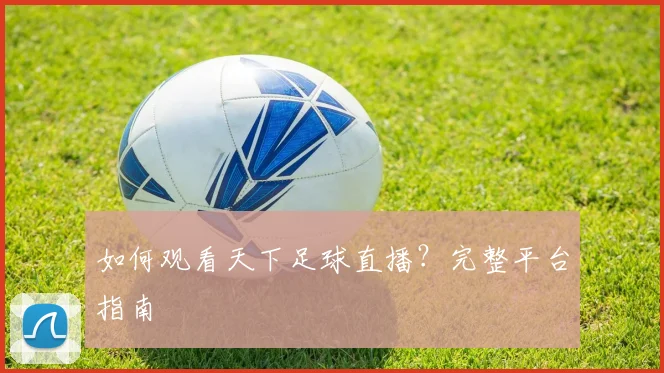 如何观看天下足球直播?完整平台指南