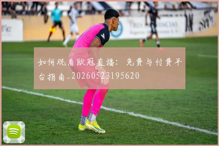 如何观看欧冠直播：免费与付费平台指南_20260523195620